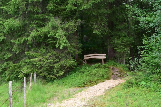 Ausblicksbank beim Tobelweg