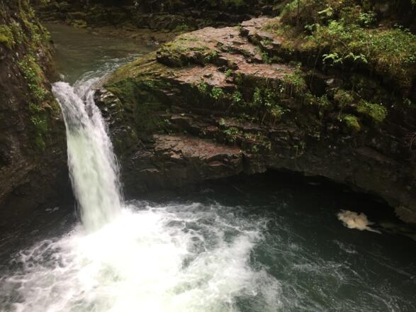 Bach im Kleinwalsertal