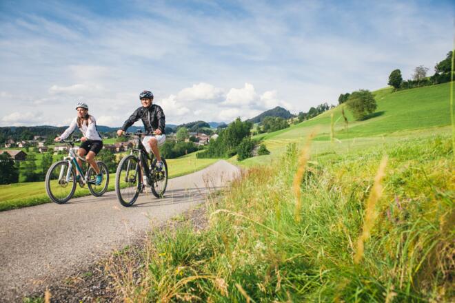 Radweg Bregenzerwald