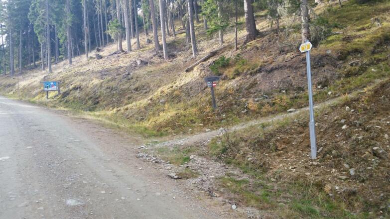 Abzweigung auf den Waldsteig