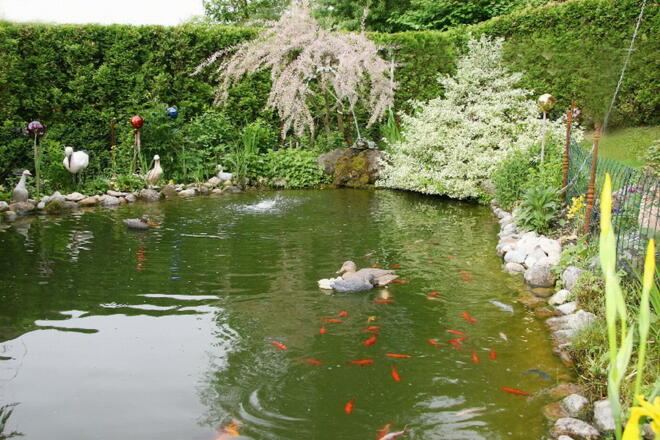 Gartenteich