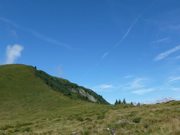 Der letzte Aufschwung zum Gipfel der Sausteige