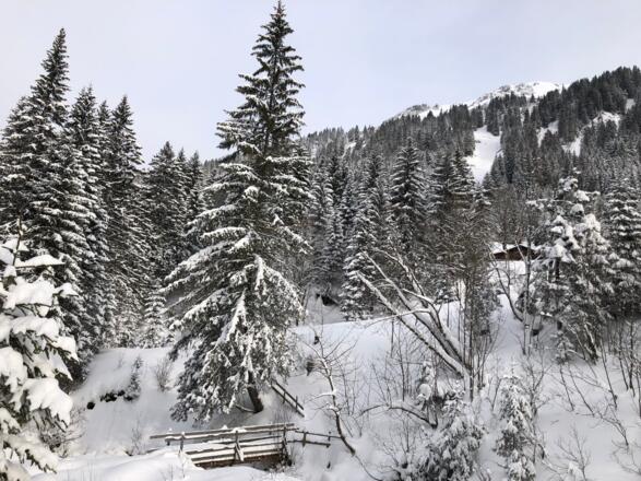 Winterwanderweg im Bärgunttal