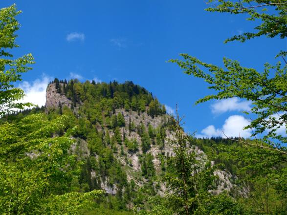 Rotwagmauer