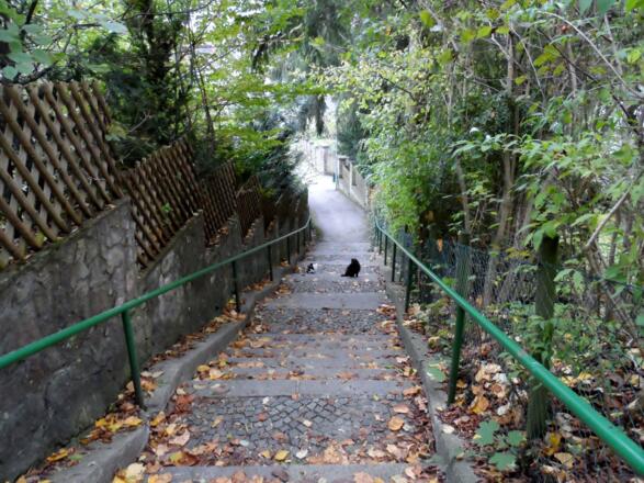 Fußweg in die Altstadt von Waidhofen