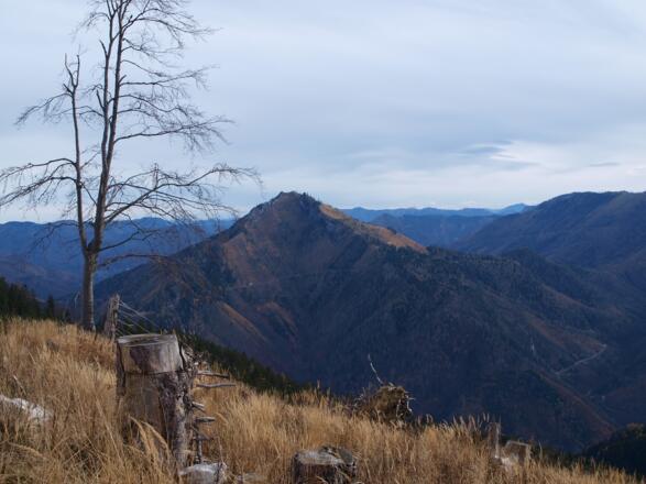 Größtenberg vom Spitzberg (Westen) gesehen