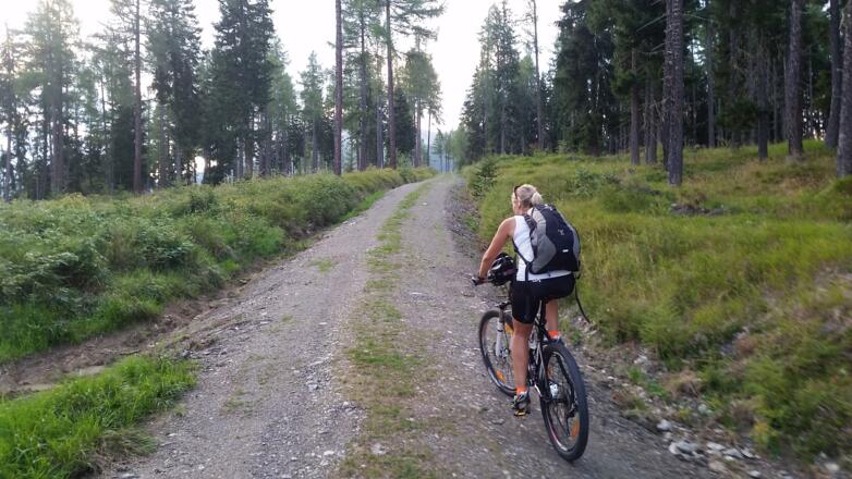 Letzter leichter Anstieg