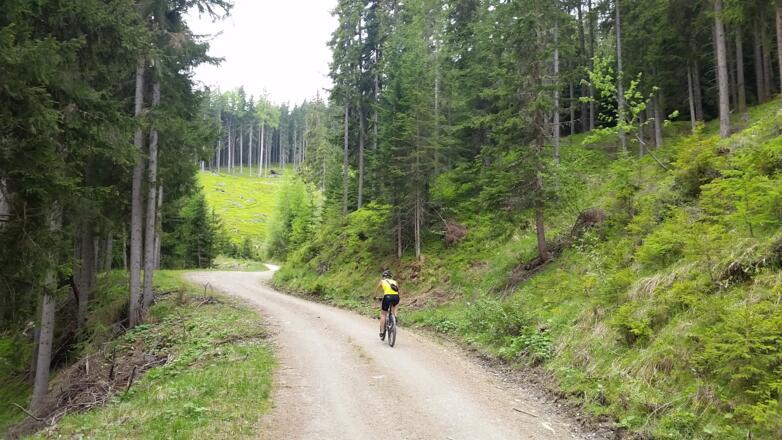 leichte Steigung Richtung Grubental