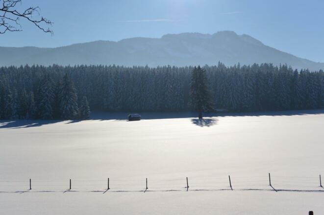 ein herrlicher Winter-Spaziergang zum Attlesee