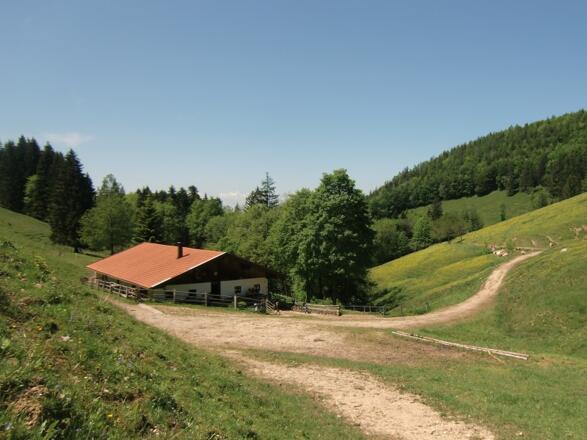 Hofeigene Herrenalm
