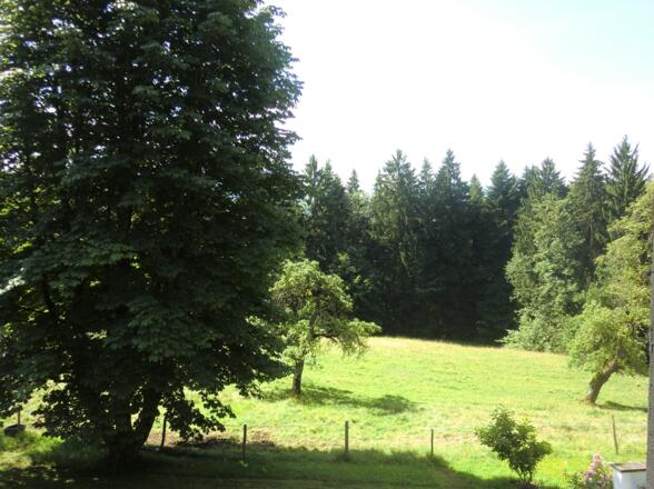 Balkon Südblick