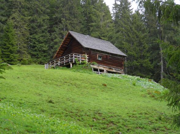 Ötscheralm