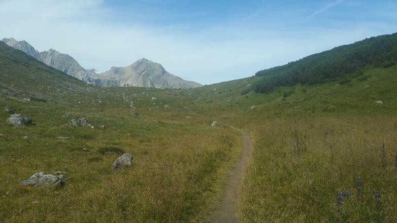 Am Saulajoch