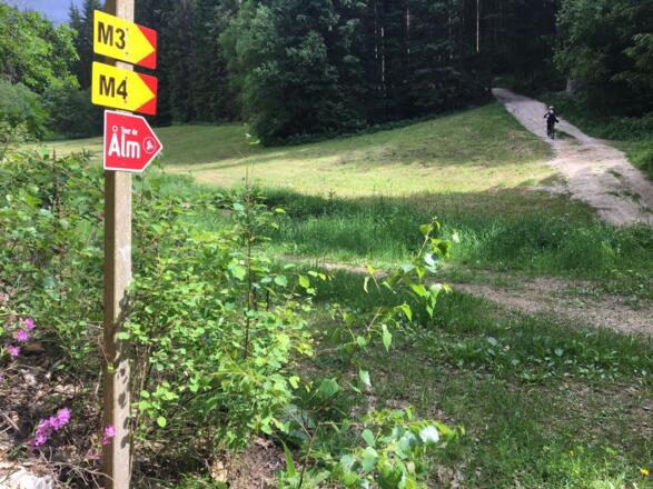 Richtung Salchenedt