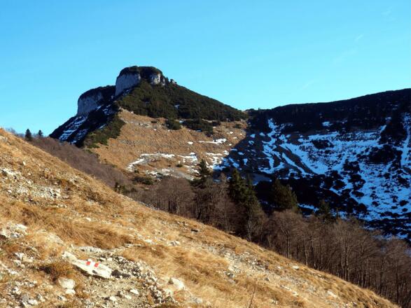 Blick vom Hinterriedl zum Schmittenstein