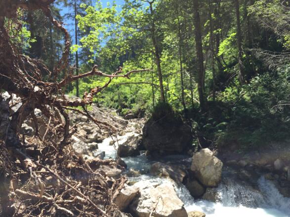 Wilder und naturbelassener Gemstelbach