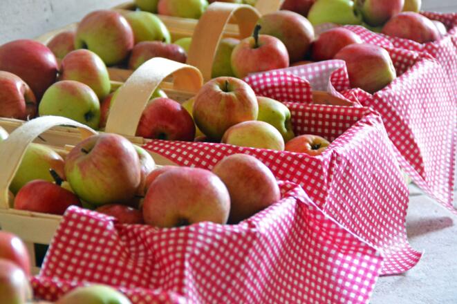 Äpfel aus dem eigenen Obstgarten