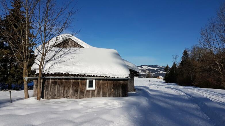 Loipe und Winterwanderweg in Alberschwende