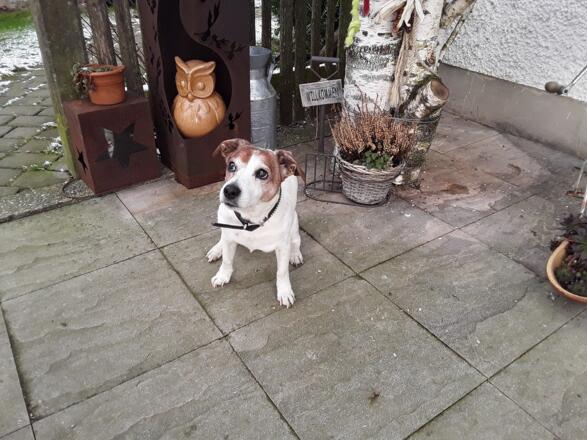 unser Bobby
