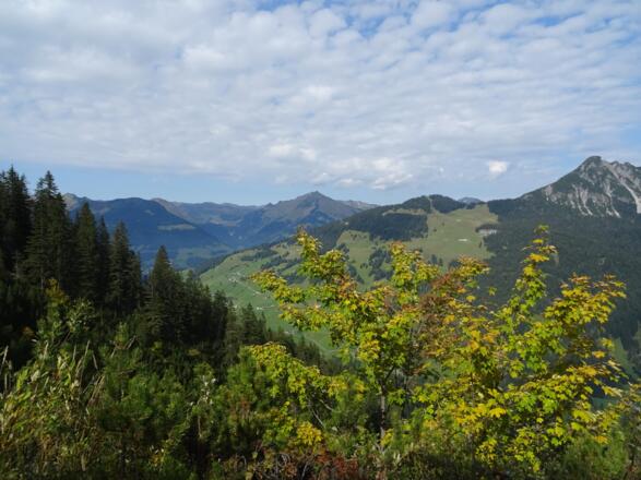 Auf dem Rückweg eröffnet sich ein toller Blick auf das Große Walsertal