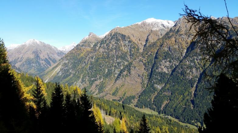 Blick ins Weißpriachtal
