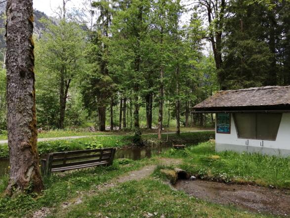 Grillstelle mit Teich