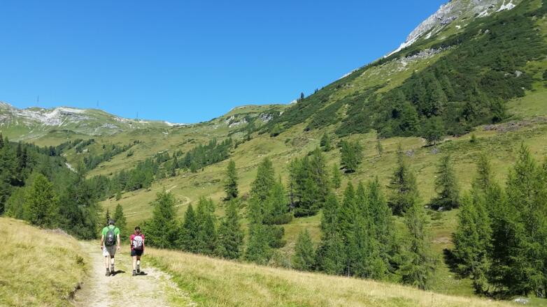 Der Weg geht in einem Steig über