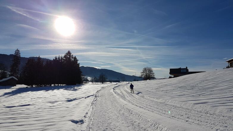Langlaufloipe Alberschwende
