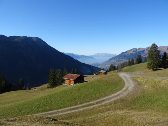 Maisäße oberhalb von Marul
