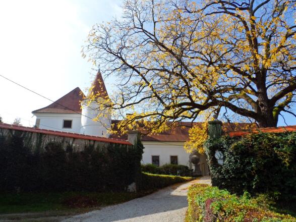 Schloss Salaberg