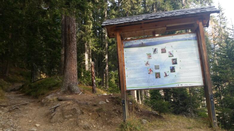 Schautafeln entlang vom Weg