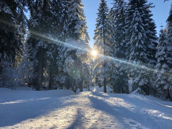Winterwandern im Wäldele
