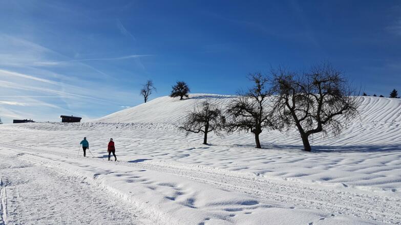 Langlaufen in Alberschwende