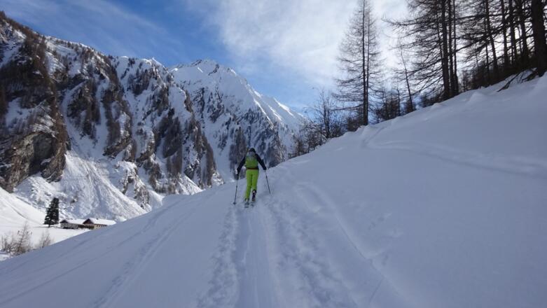 Am Beginn des Aufstiegs, hinten die Hornspitze (2650 m).