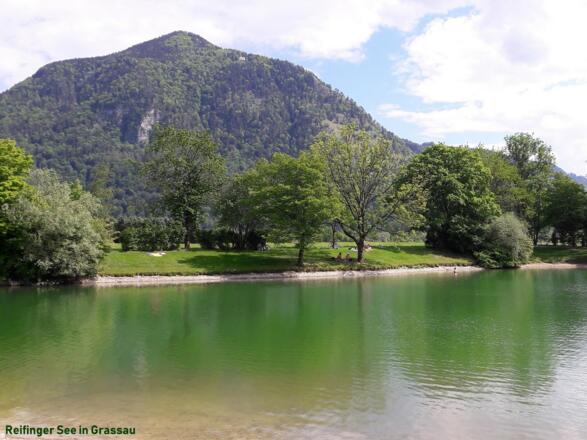 Reifinger See