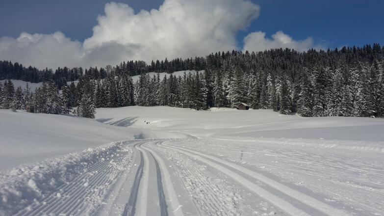 Hochmoor Loipe Hochhäderich