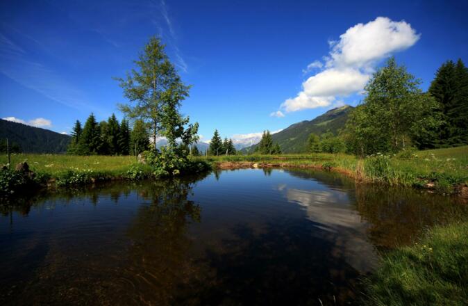 See bei Zustiegsstelle &quot;Stelzer&quot;