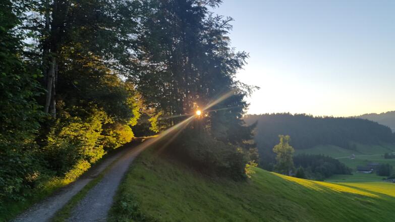 Rotenberg Runde