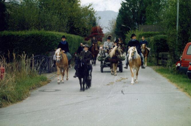 Unsere Pferde beim Leonhardiritt