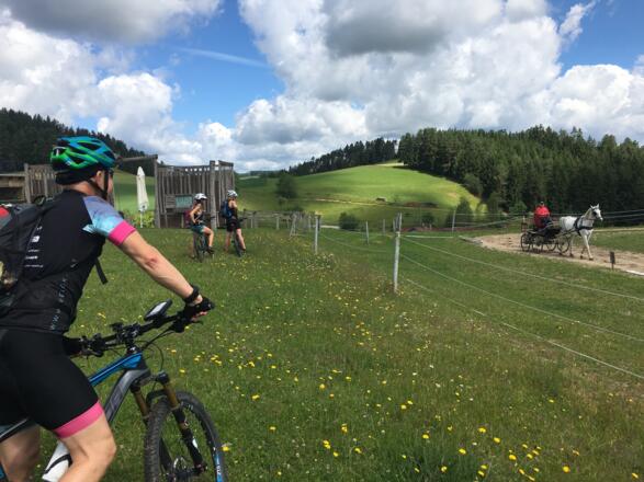 Moseralm
