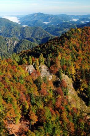 Etappe_02_Hintergebirge_NPK Kalkalpen_©Sieghartsleitner