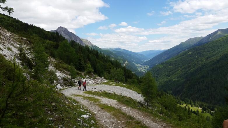Folgen Sie den Forstweg zur Schliereralm