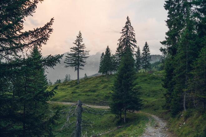 Auf dem Rückweg Richtung Burtschasattel