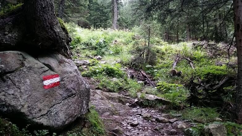 Kleiner Steig Richtung Karwassersee