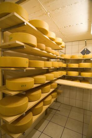 Ein Blick in unsere Käserei