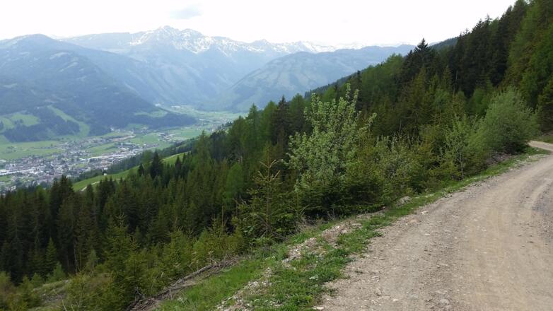 Ausblick auf St. Michael