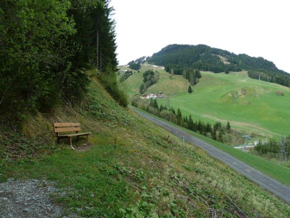 Zwölferkogel