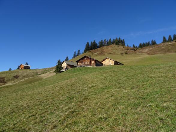 Zafern Maisäß auf dem Weg zurück nach Faschina