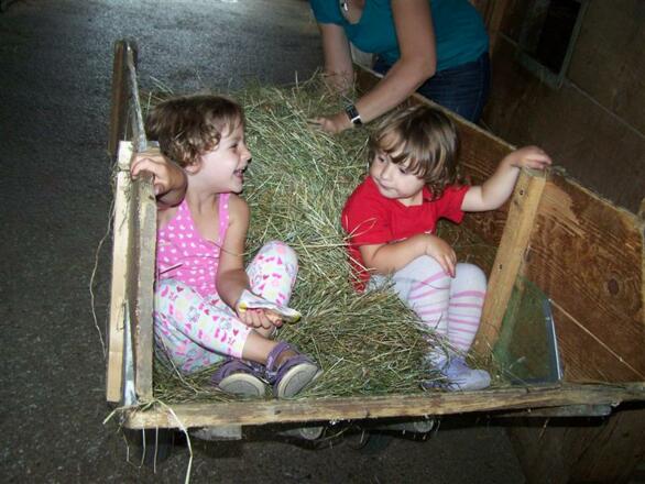 Stockerhof Kinder im Heu