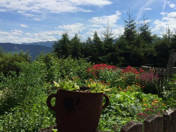 wunderschöner Kräutergarten auf der Rettenebenalm